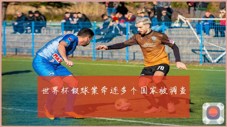 世界杯假球案牵连多个国家被调查
