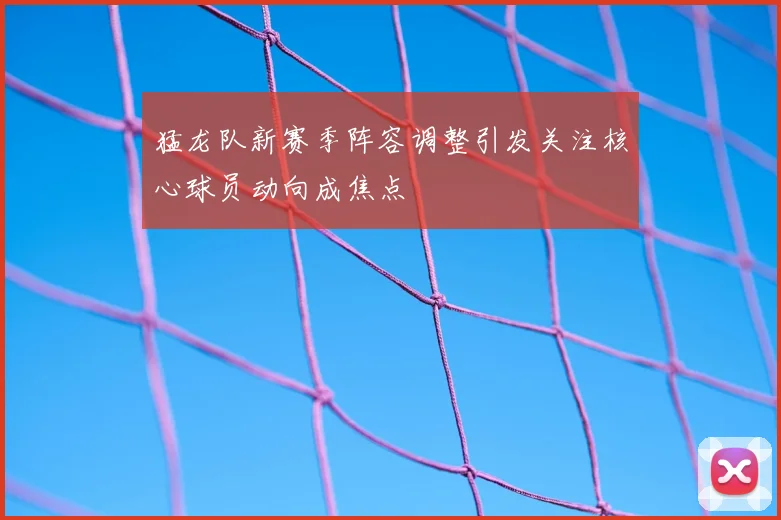 猛龙队新赛季阵容调整引发关注核心球员动向成焦点