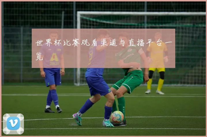 世界杯比赛观看渠道与直播平台一览