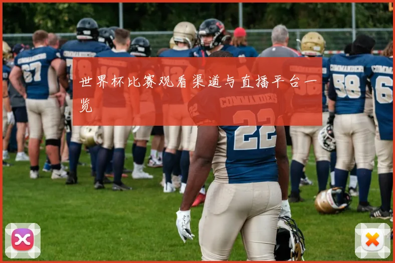 世界杯比赛观看渠道与直播平台一览