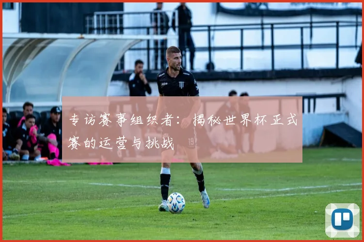 专访赛事组织者：揭秘世界杯正式赛的运营与挑战