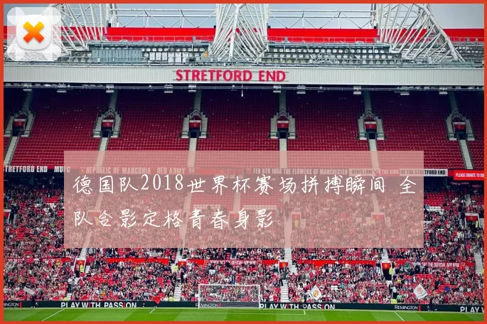 德国队2018世界杯赛场拼搏瞬间 全队合影定格青春身影